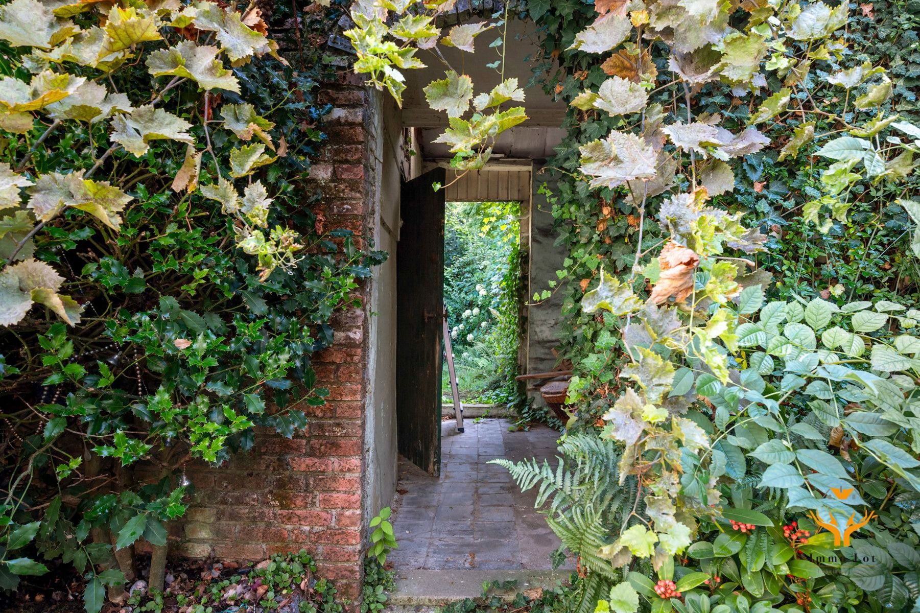 Woning met charme en mooie tuin in hartje Kalken foto 3