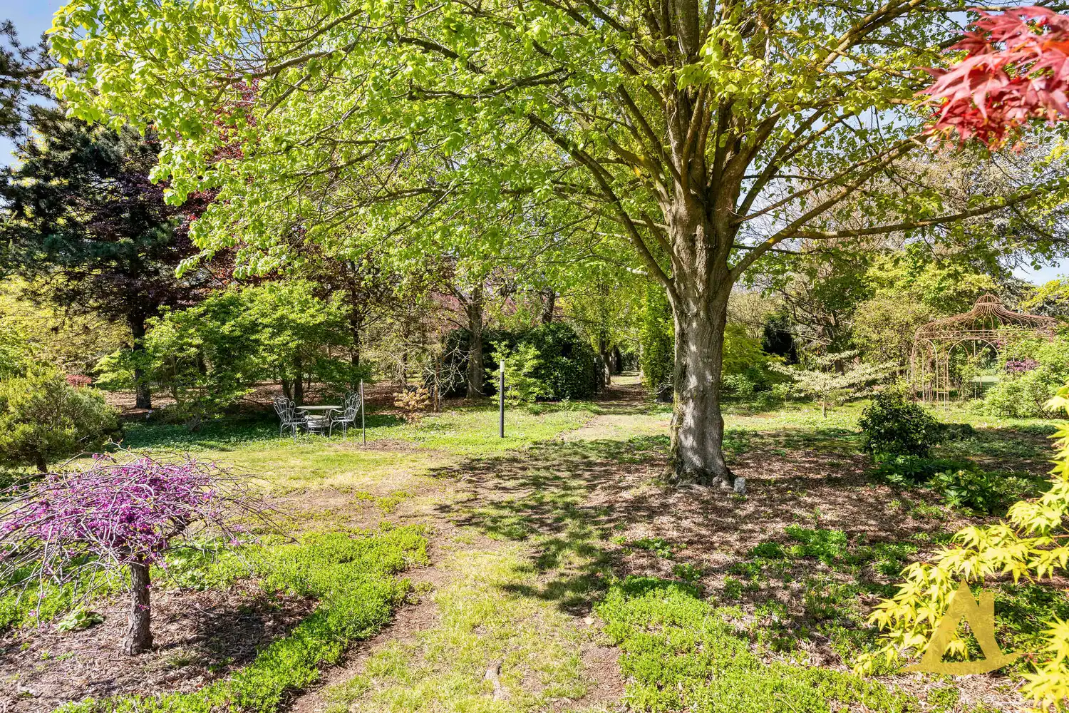 EXCLUSIEVE VILLA MET PARKTUIN EN ZWEMVIJVER OP EEN PERCEEL VAN 1HA 5A 16CA! foto 55