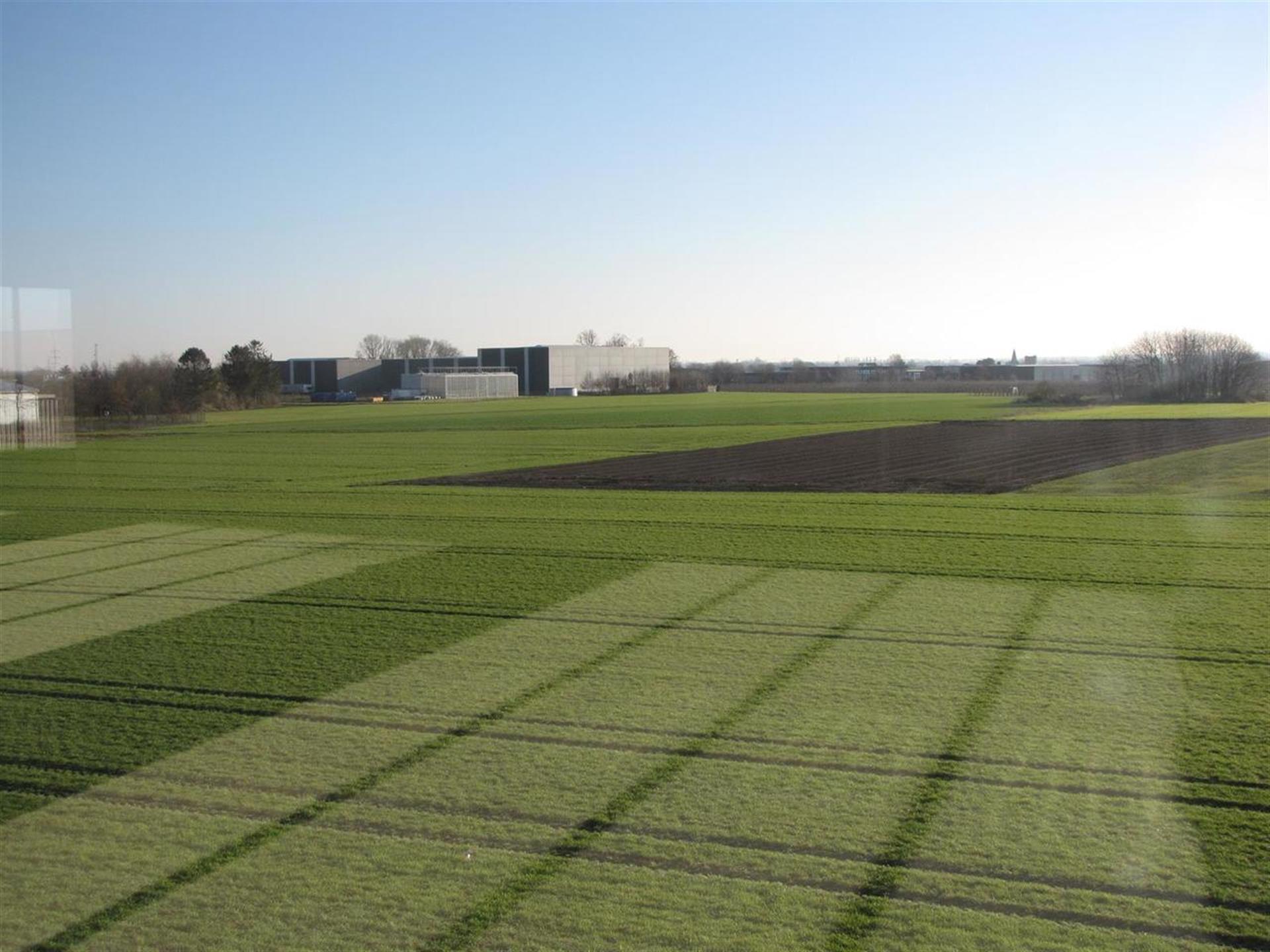 Nieuwbouw kantoorruimte in Sint-Truiden  foto 3