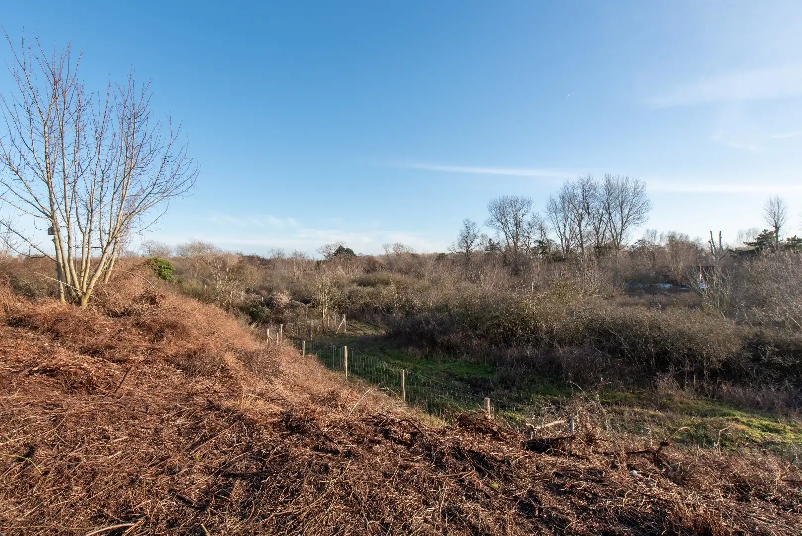 Villa 4 slpk's met zicht op de Noordduinen foto 17