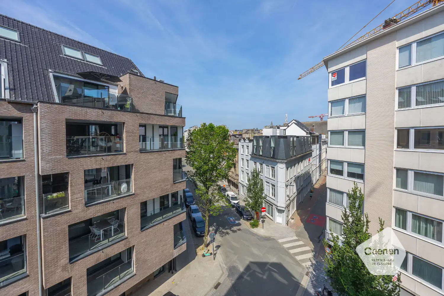 Gerenoveerd drie slaapkamer appartement op centrale ligging foto 9