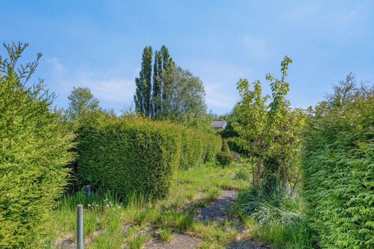 Landelijk gelegen woning met tuin te Tongeren-Sluizen foto 26