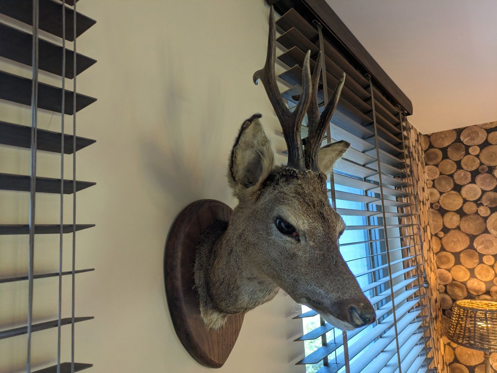 Huis te koop foto 15