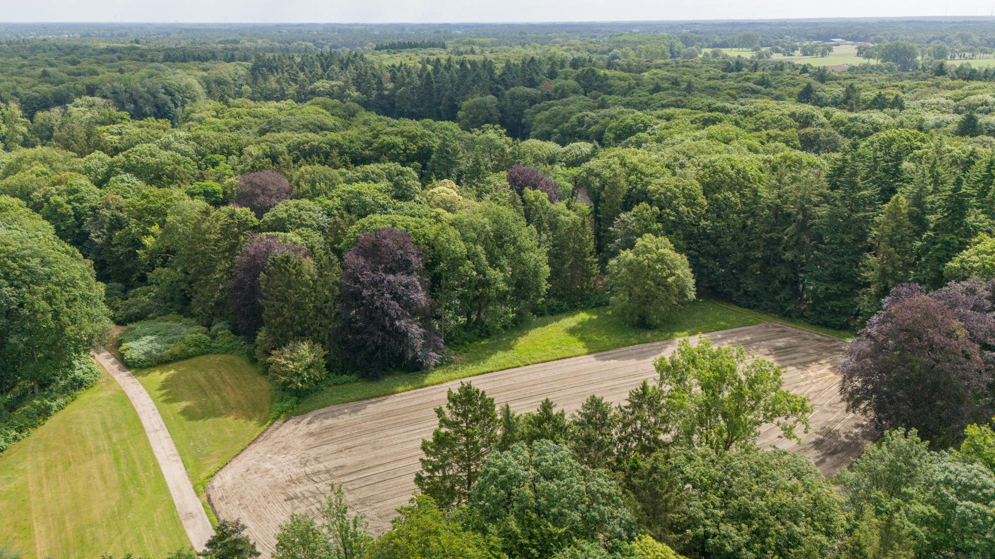 Magnifiek landhuis in een prachtig domein van ca 10ha foto 6