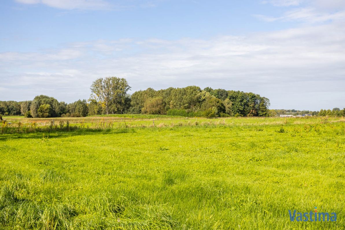 Bouwgrond voor halfopen bebouwing in Baardegem - Lot 02 foto 8