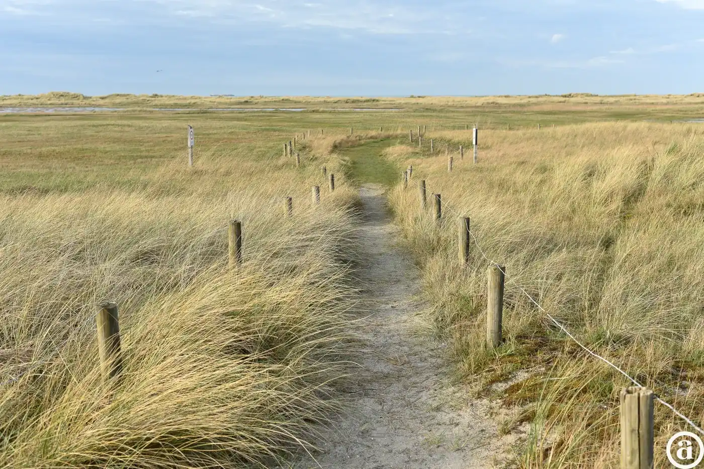 Nieuwbouwresidentie Zeeschorre [Zeedijk – Heist aan Zee]. foto 7