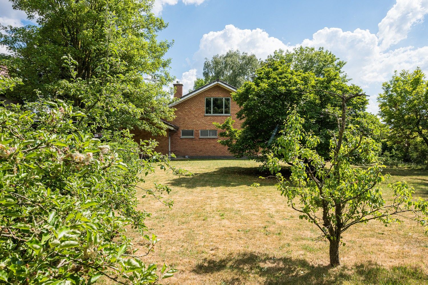 Karaktervolle woning met  riante tuin in Eeklo foto 5