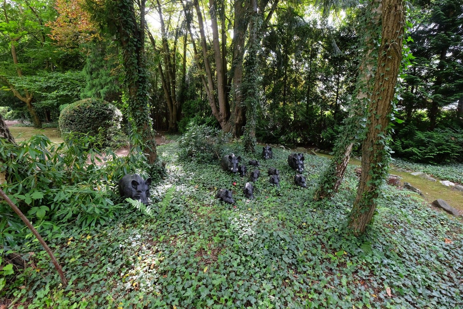 Uniek perceel met een charmante vakantiewoning midden in de natuur omgeven door een uitzonderlijke collectie van prachtige bomen. foto 31