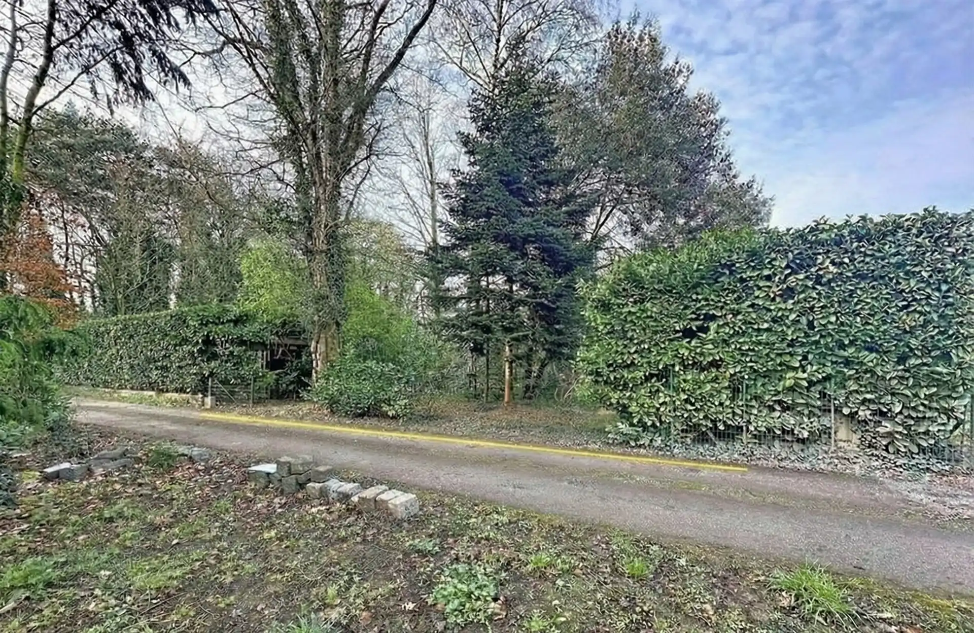 bos op 780m² grond foto 2