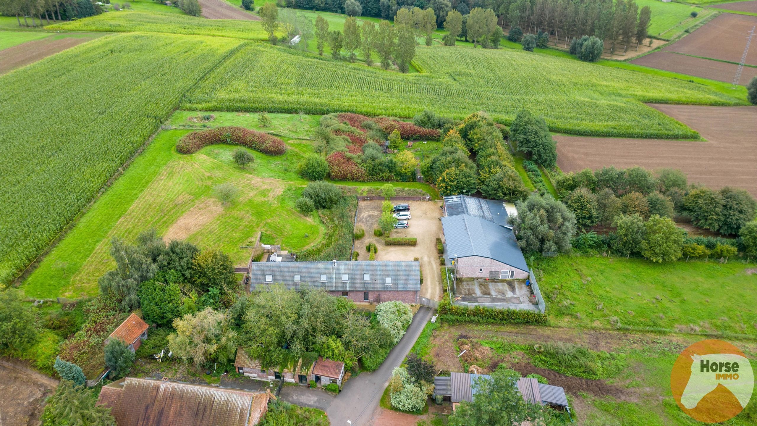 BEVER - Prachtige woning met bijgebouw op 1,95Ha foto 11