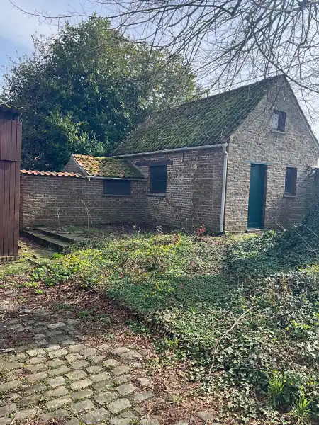Hoevewoning met bijgebouwen met heel wat potentieel foto 8