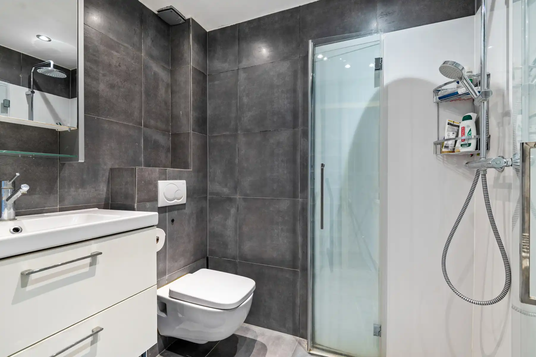 Lichtrijk appartement met twee slaapkamers op het Eilandje. foto 11