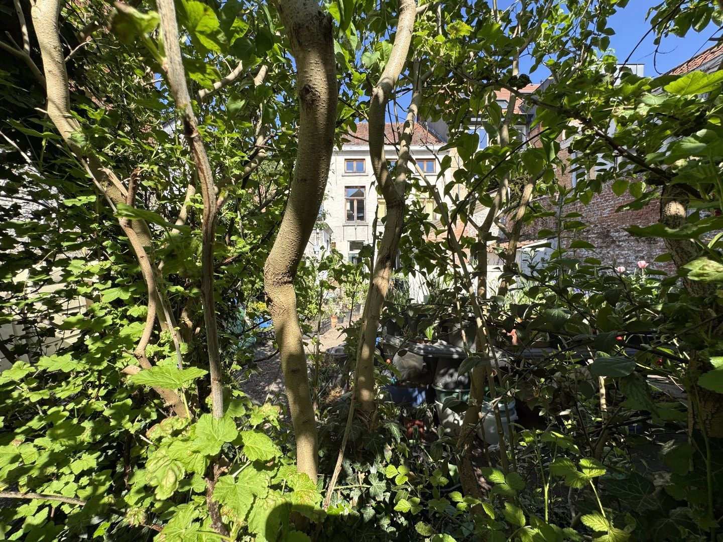 Karaktervol Herenhuis met Artstudio en Stadstuin – Unieke Kans in Hartje Stad Sint-Niklaas foto 19