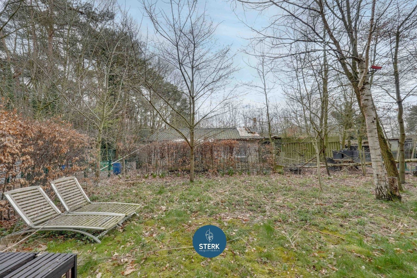 UNIEKE CHALET MIDDEN IN HET BOS VAN ZUTENDAAL !  foto 17