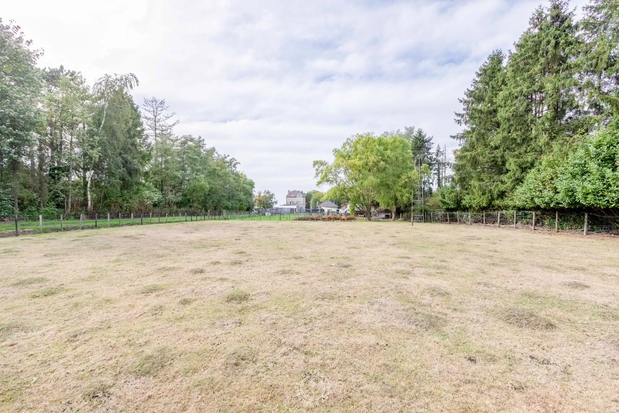 Praktische bungalow met werkplaats en weiland van 3.059 m² foto 5