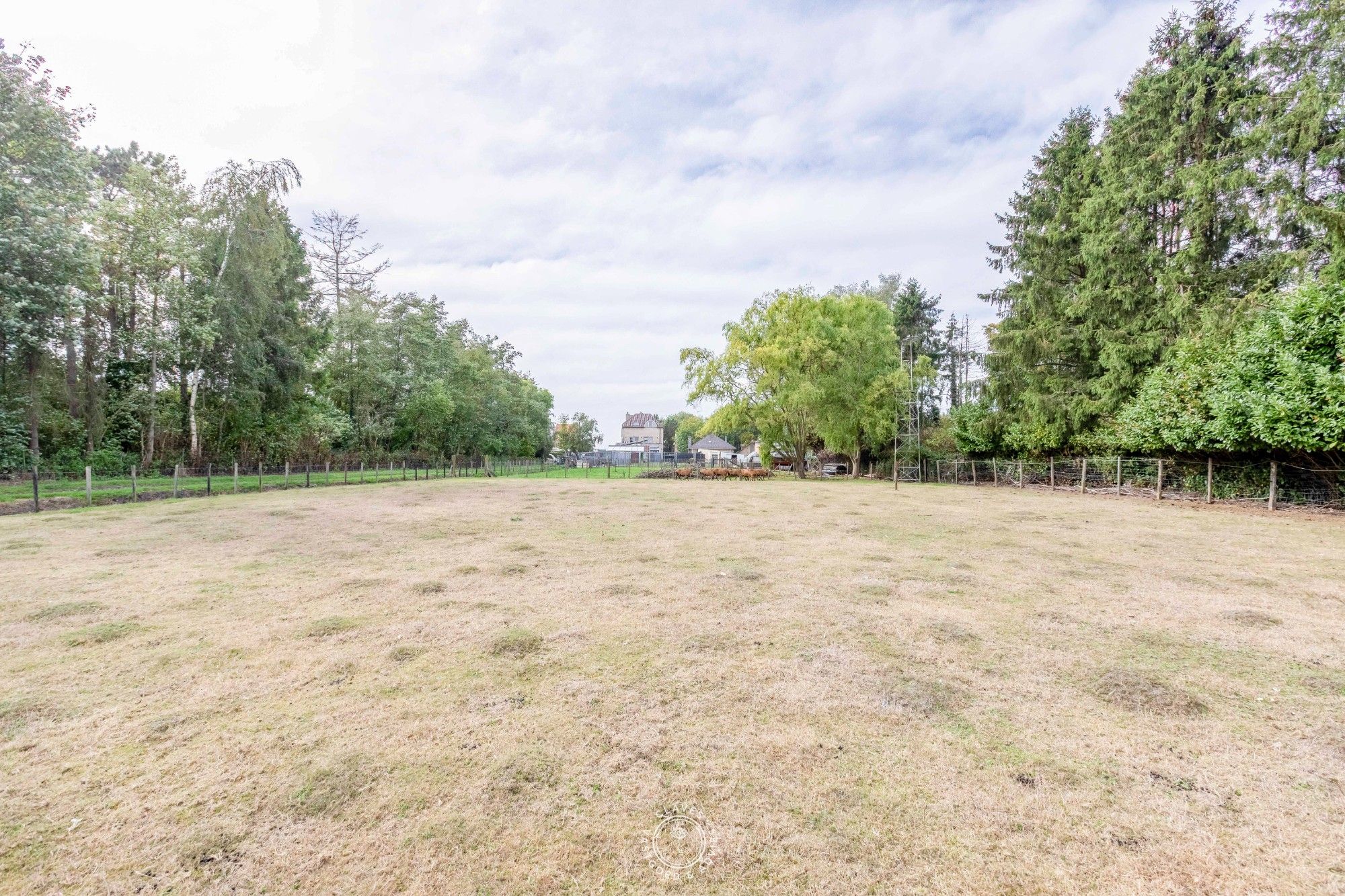 Praktische bungalow met werkplaats en weiland van 3.059 m² foto 5