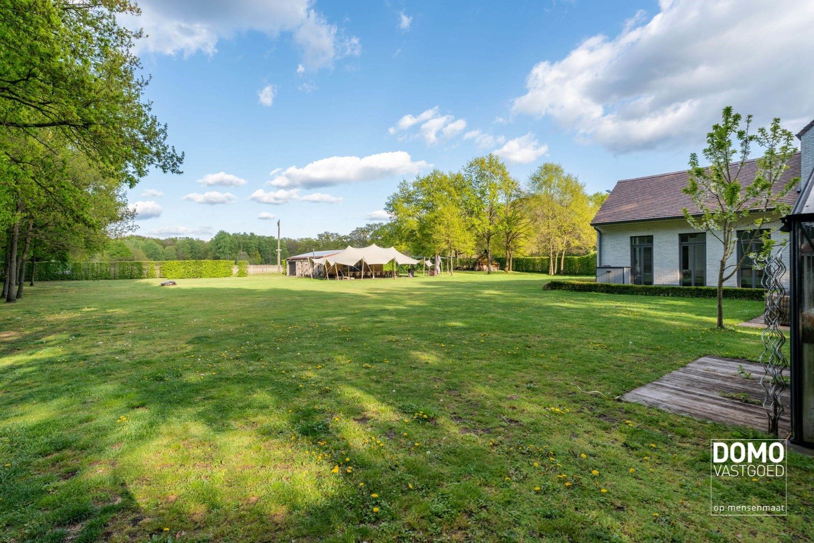 Exclusieve villa, zeer rustig gelegen, aan de groene bossen van Bolderberg. foto 3