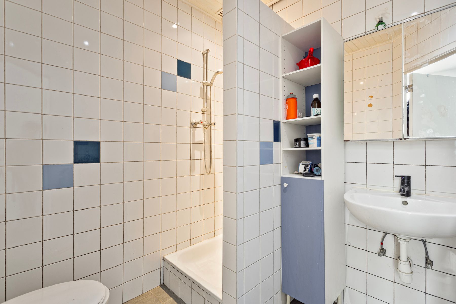 Gelijkvloerse praktijk + leefruimte en koer te centrum Halle foto 12