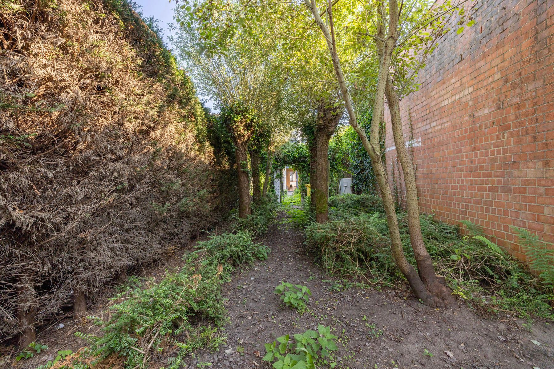 GLV handelspand/kantoor van 133m² met kelder, terras en tuin foto 13
