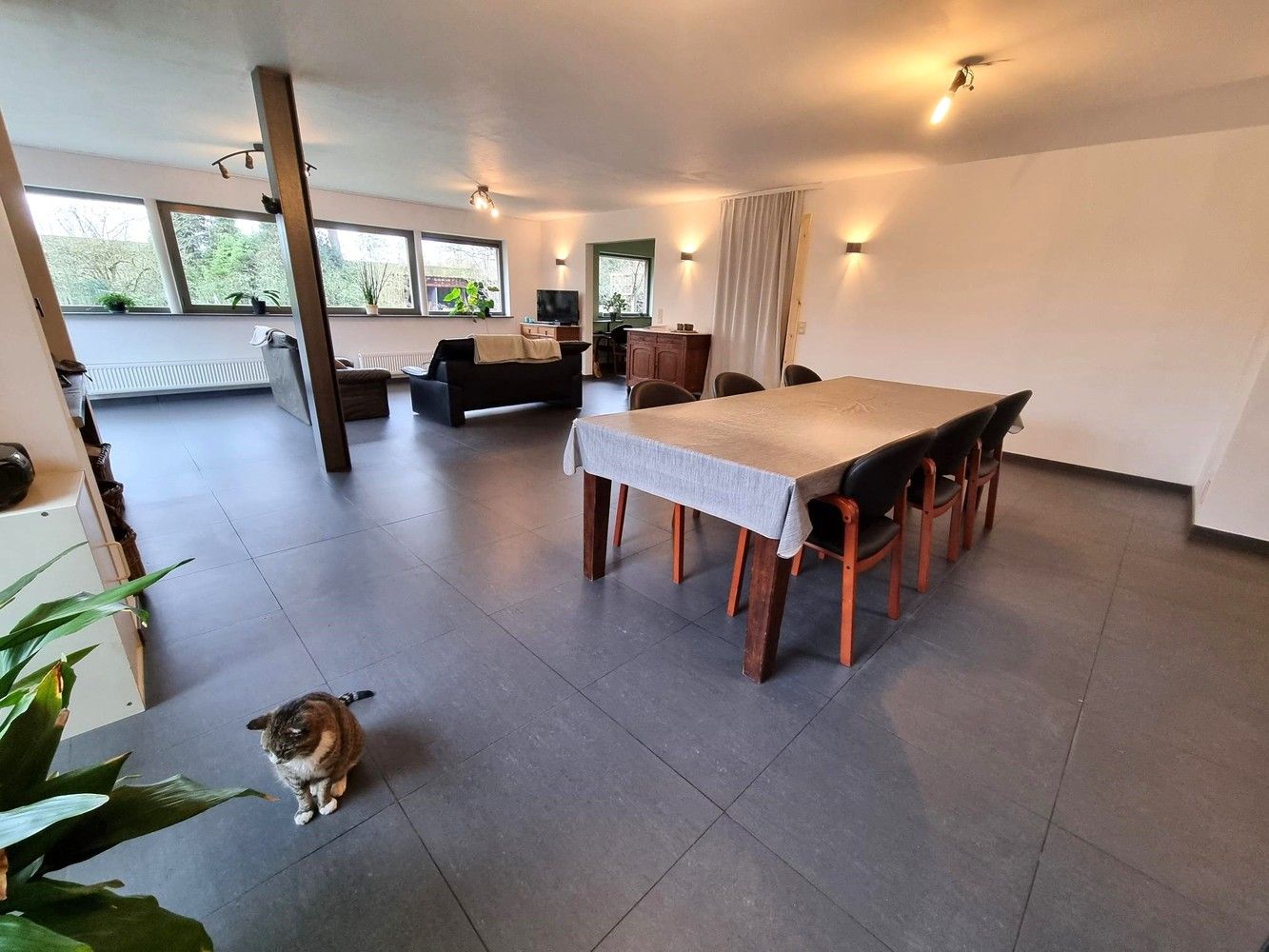 Vernieuwde woning, zeer rustig gelegen met enorm grote zolderruimte. Veel potentieel! foto {{pictureIndex}}