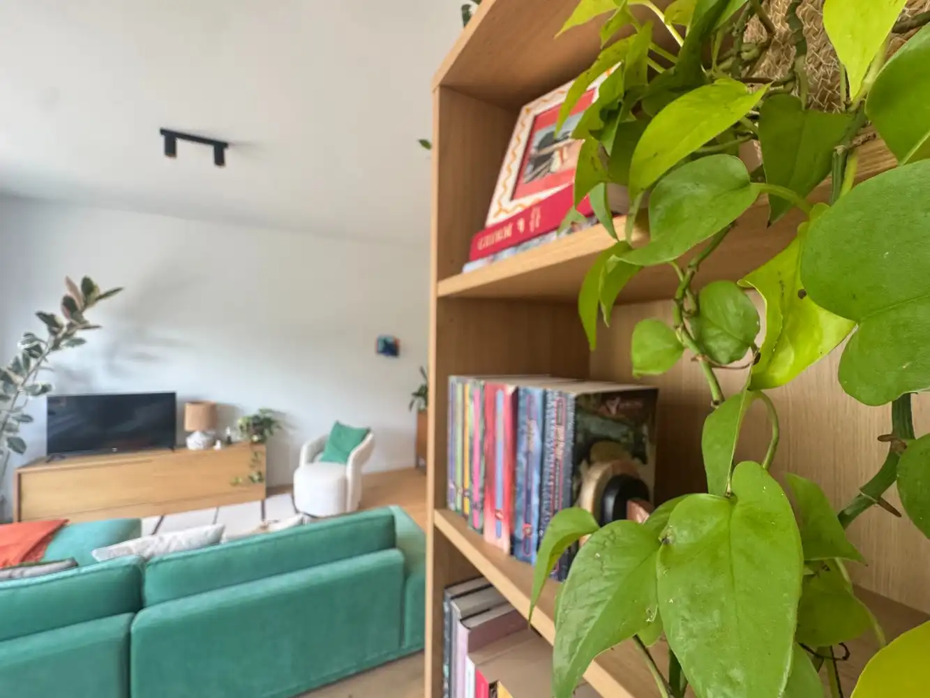 Gerenoveerd 2-slaapkamerappartement met terras en ochtendzon in Borgerhout foto 6