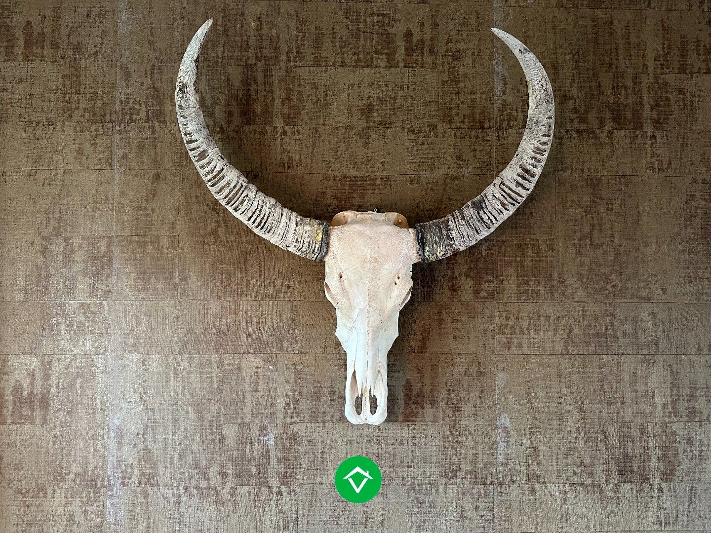 Combinatie wonen & werken: horecazaak met woonst in Eernegem foto 11