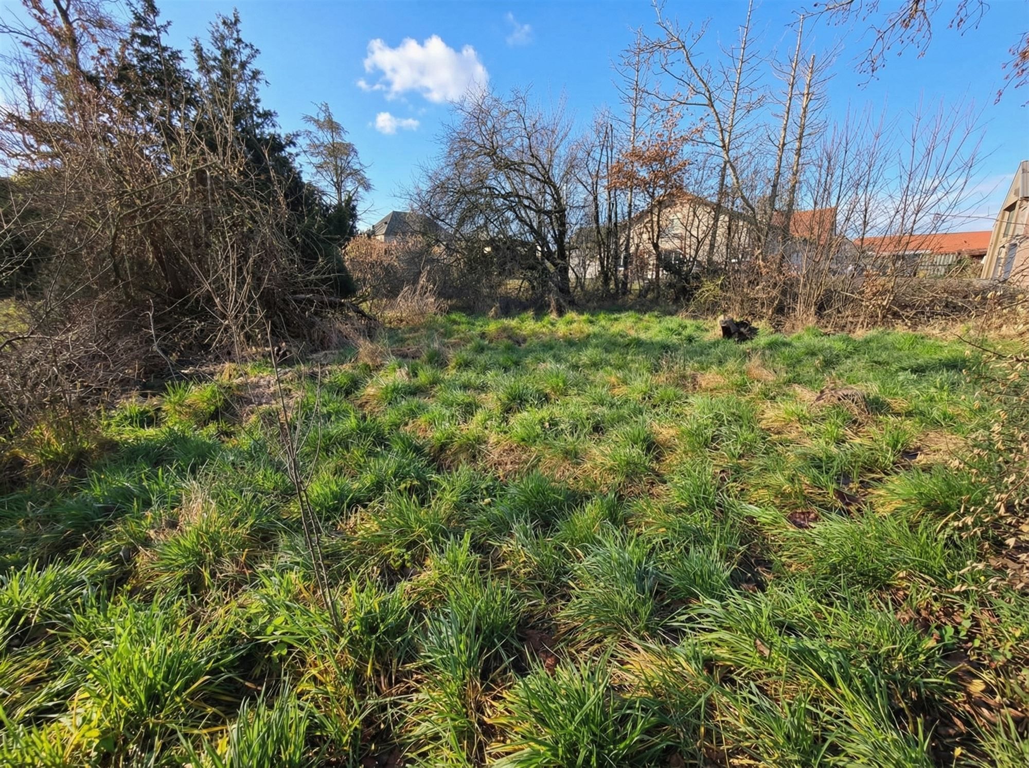 Top gelegen bouwperceel van 1000m²  foto 5