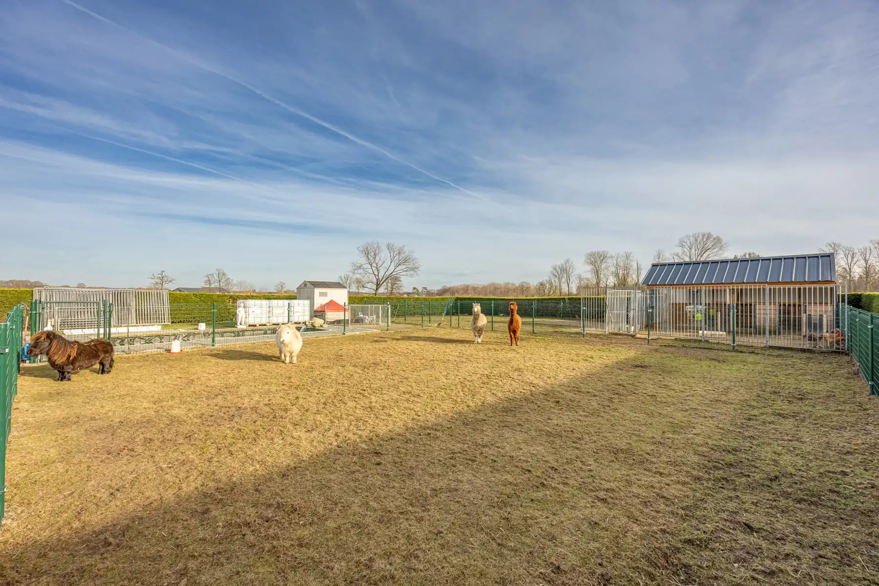 Gerenoveerde vrijstaande woning met 3 slaapkamers op een unieke locatie in Merksplas. foto 23