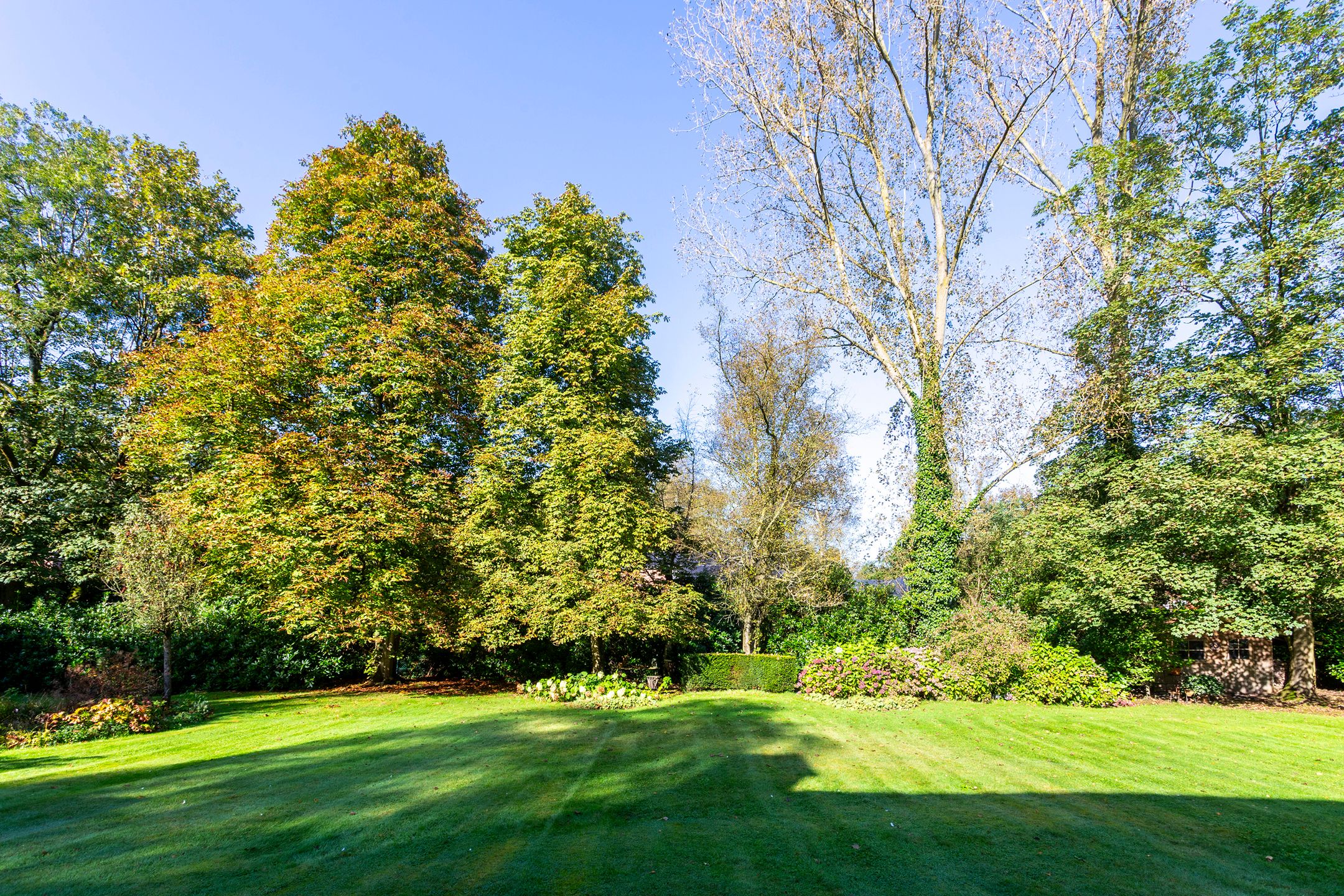 Veelzijdige villa met prachtige tuin. foto 30