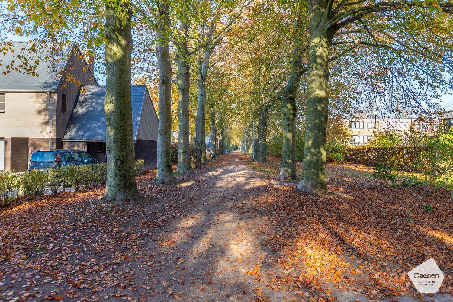 Door groen omgeven te renoveren woning met 4 slaapkamers & garage te Sint-Michiels foto 2