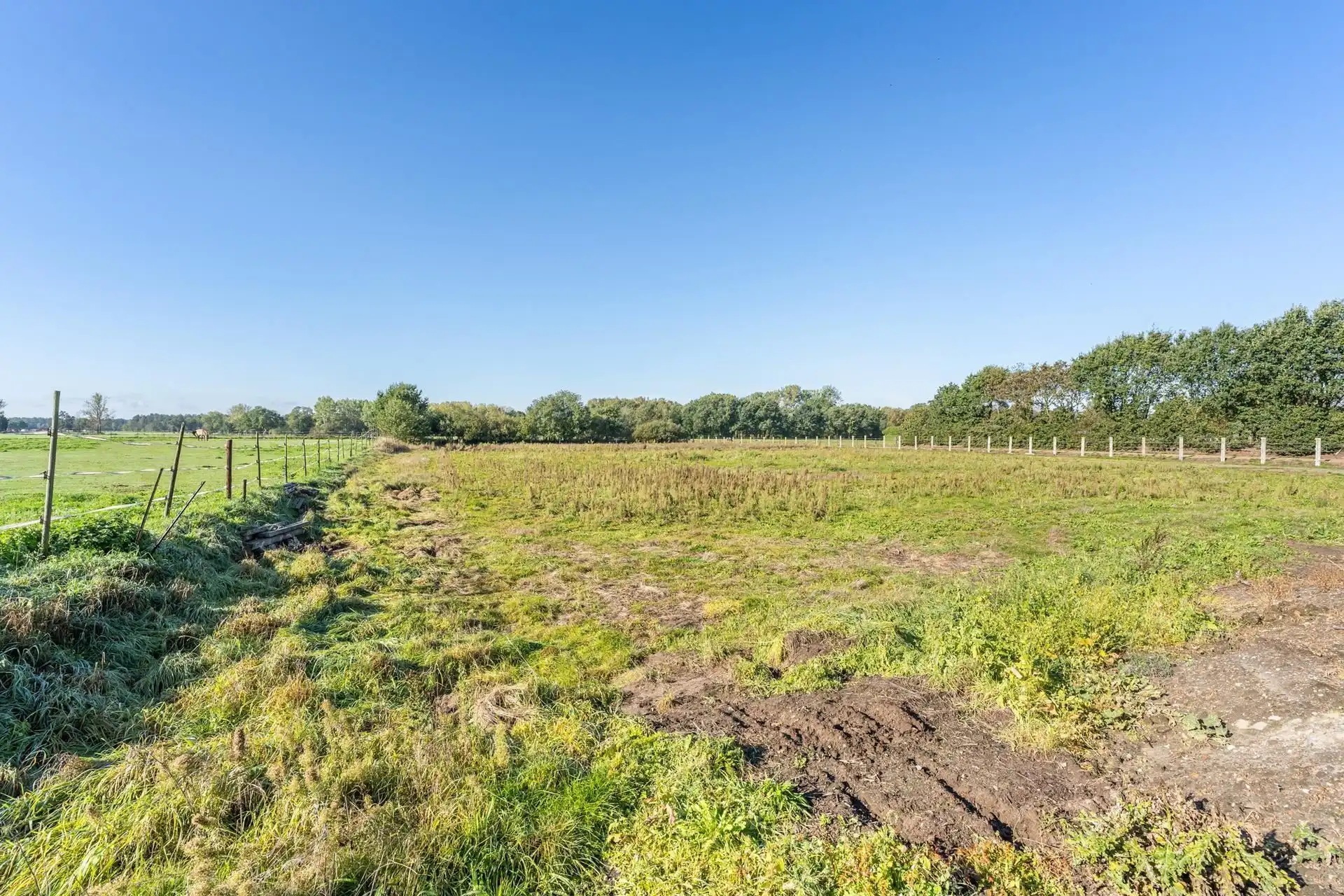 Landelijke hoeve met stallingen en potentieel. foto 12