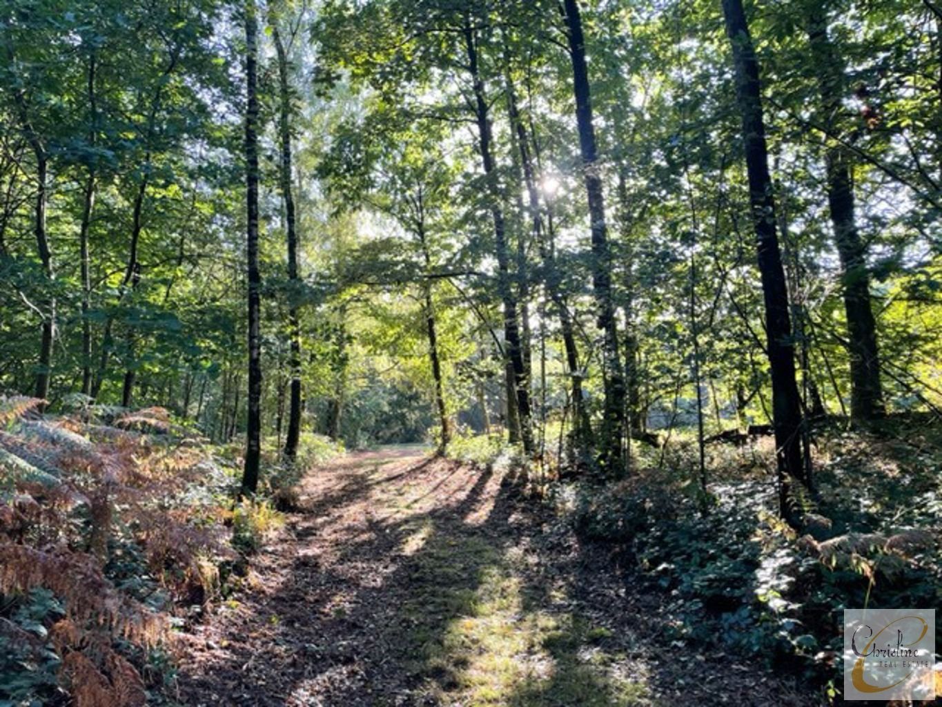Unieke grond in recreatiegebied foto 4