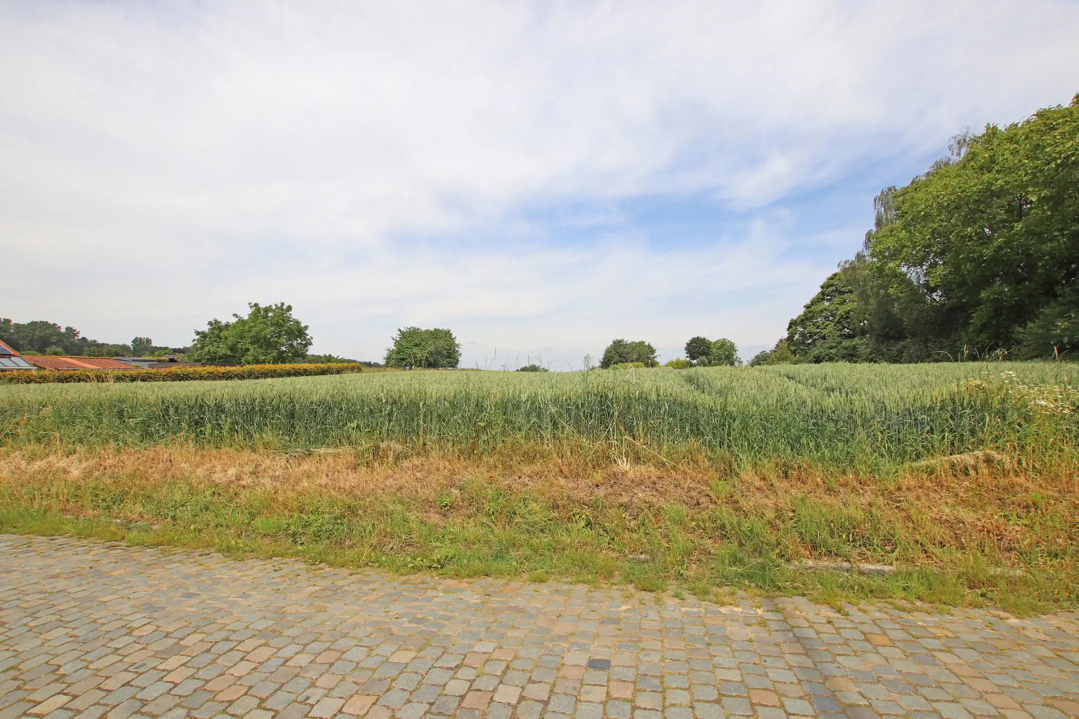 Te koop foto 10