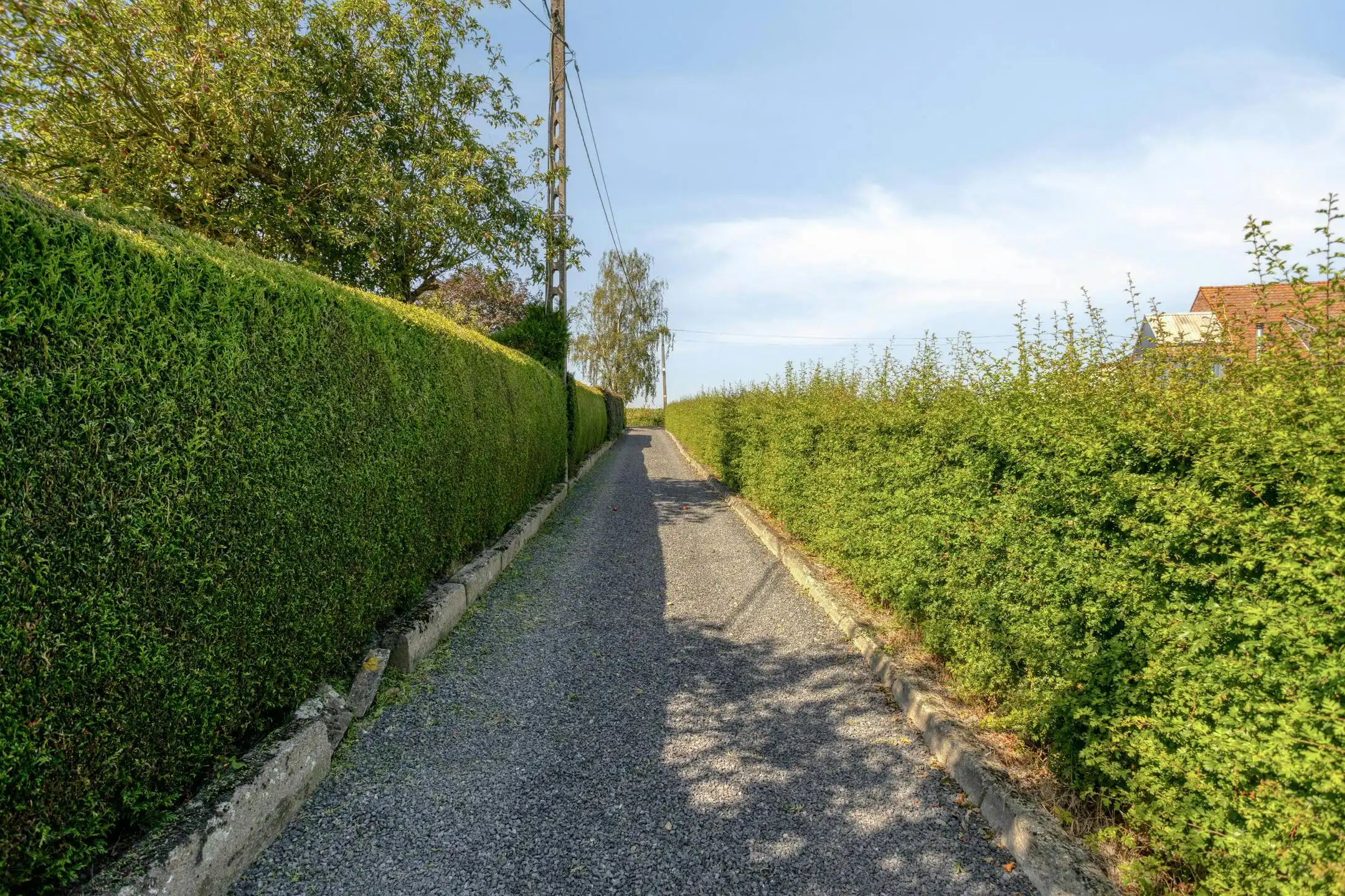 Wonen in het groen: landelijke gezinswoning te koop Rollegem foto 25