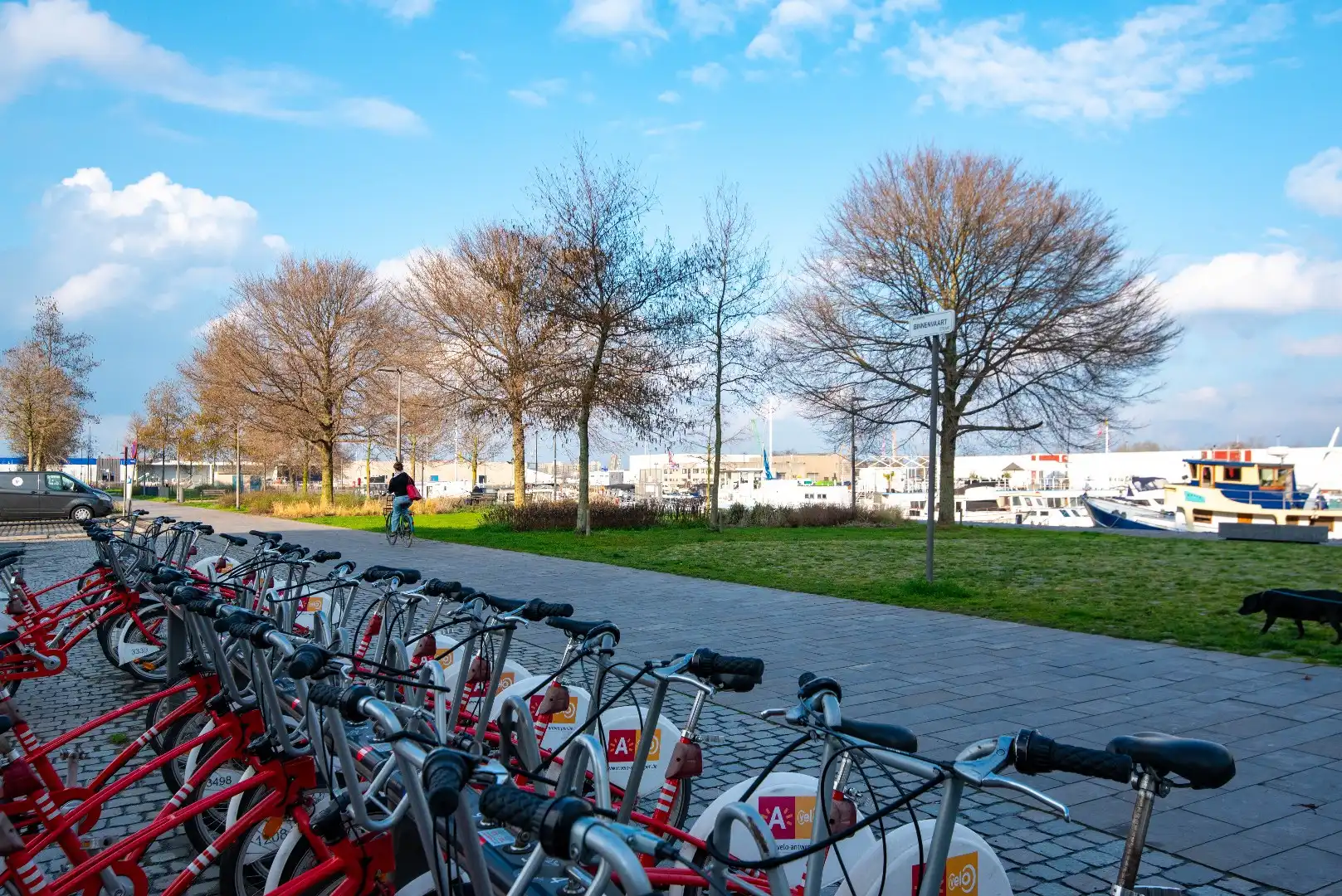 Charmant appartement in het bruisende Eilandje foto 19