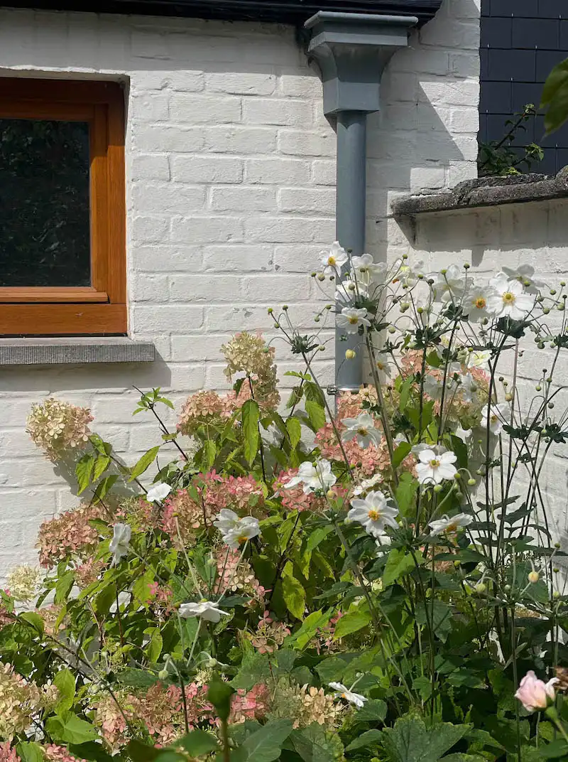 Ruim Burgershuis met tuin en garage te Kristus Koning foto 10