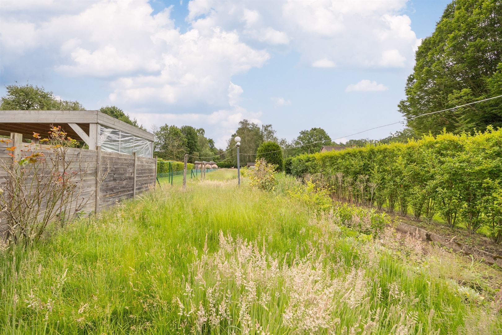 Charmante renovatie-woning met potentieel foto 2