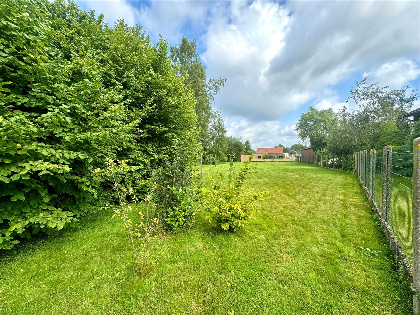 Woning gelegen op een uitzonderlijk ruim perceel van 28a 30ca op een toplocatie in een rustige en groene omgeving te Neeroeteren. Eveneens projectmogelijkheid met potentieel tot omvorming naar 2 open bebouwingen!  foto 4