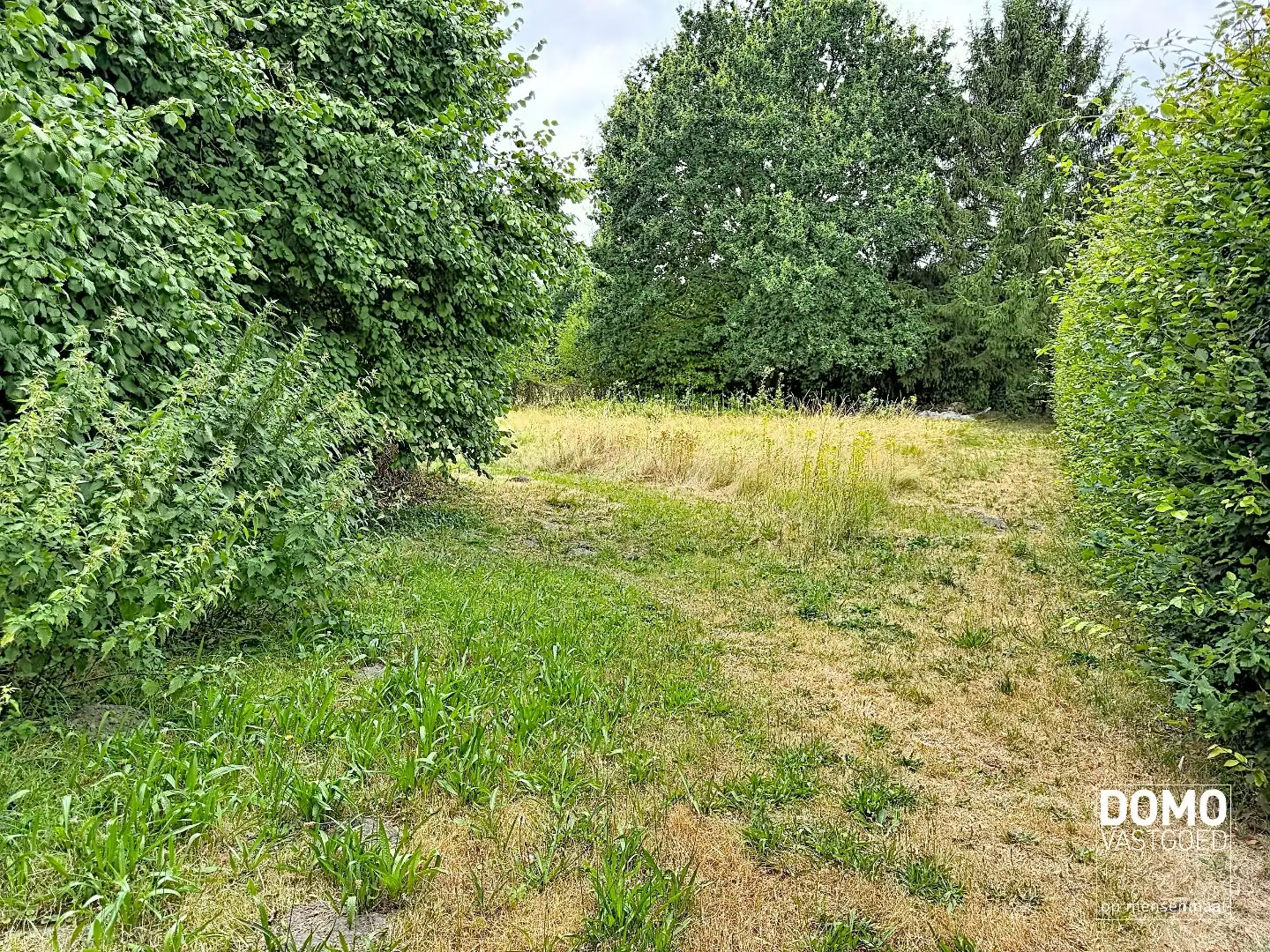 KARAKTERVOLLE RENOVATIEWONING MET 259 M² BEWOONBARE OPPERVLAKTE EN DIEPE WESTGERICHTE TUIN foto 4