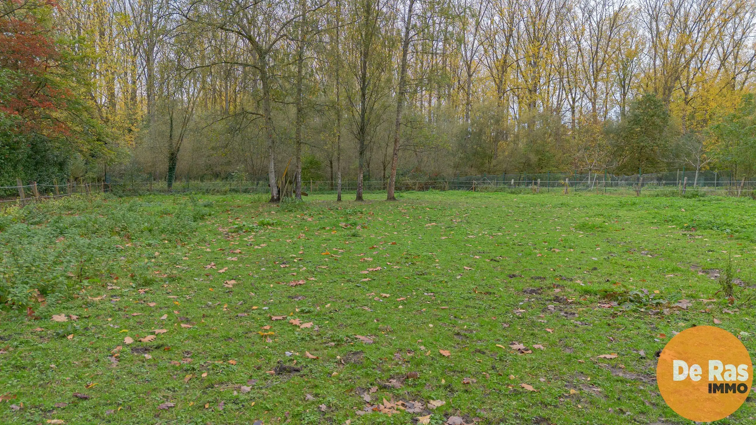 EREMBODEGEM- Ruime gezinswoning met tuin en weide  foto 32