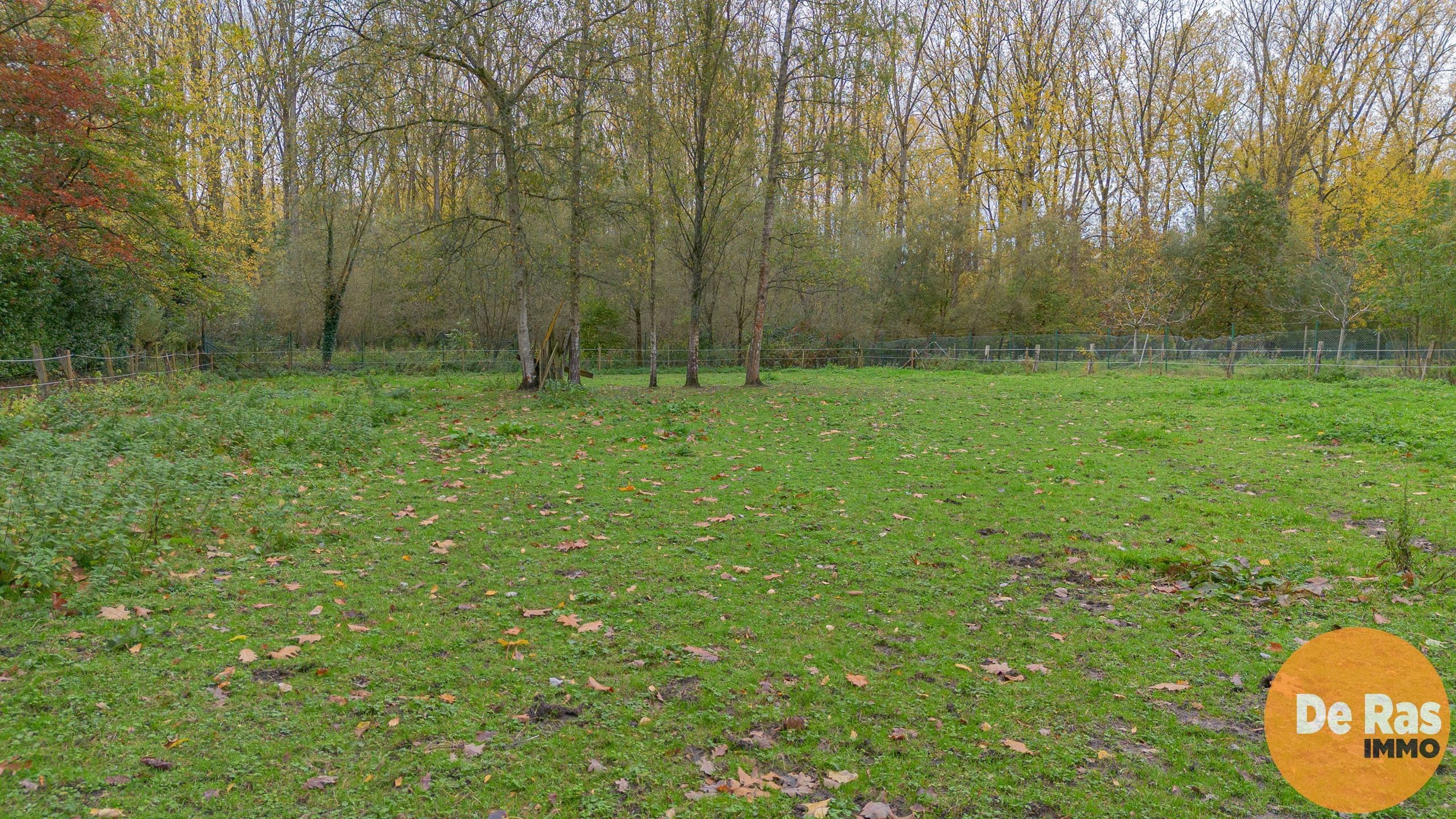 EREMBODEGEM- Ruime gezinswoning met tuin en weide  foto 32