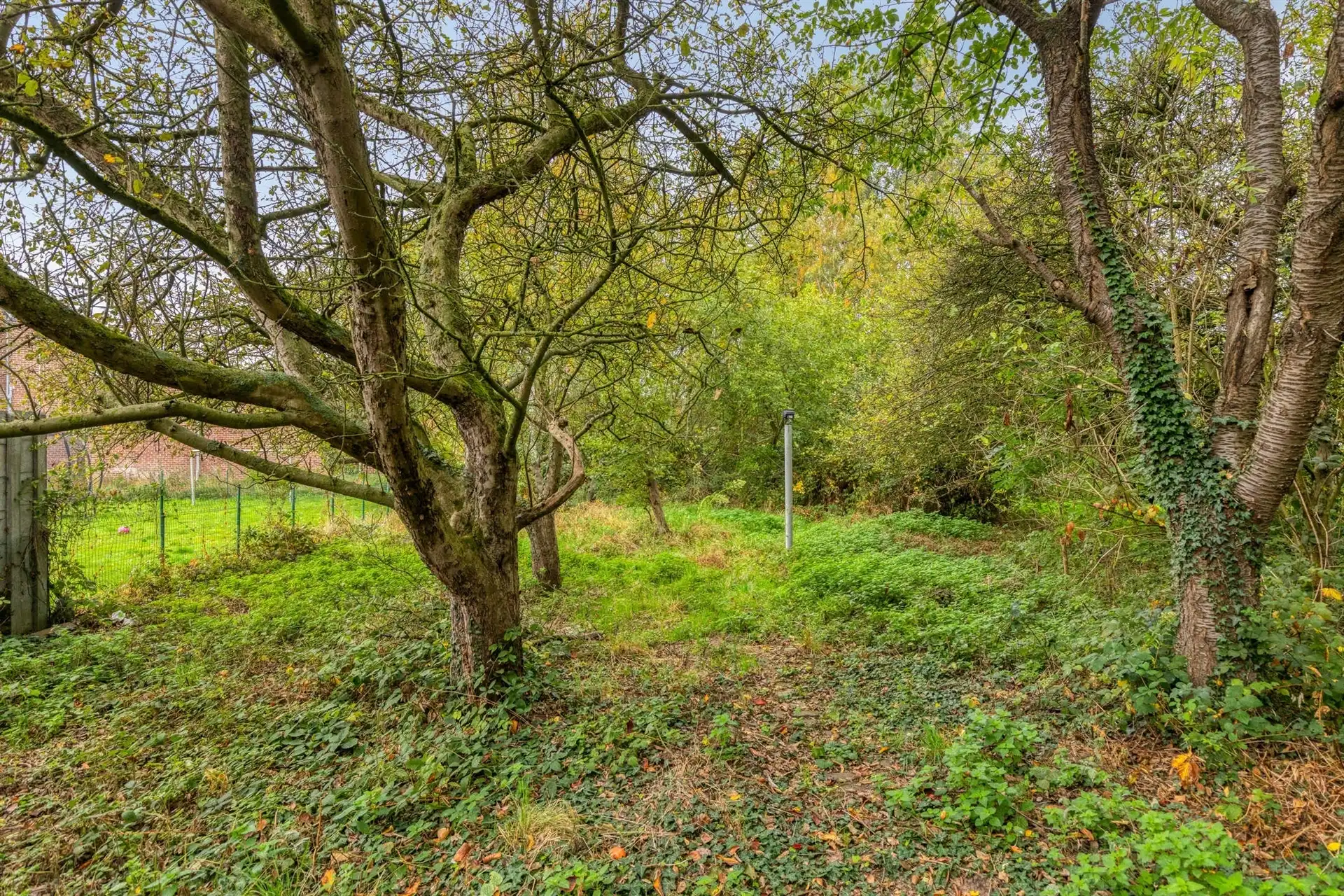 Open bebouwing op groot terrein! foto 2