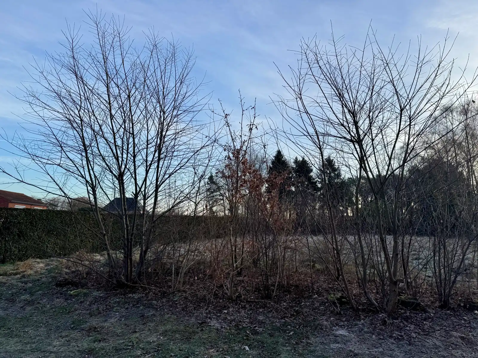 Grond te koop foto 5