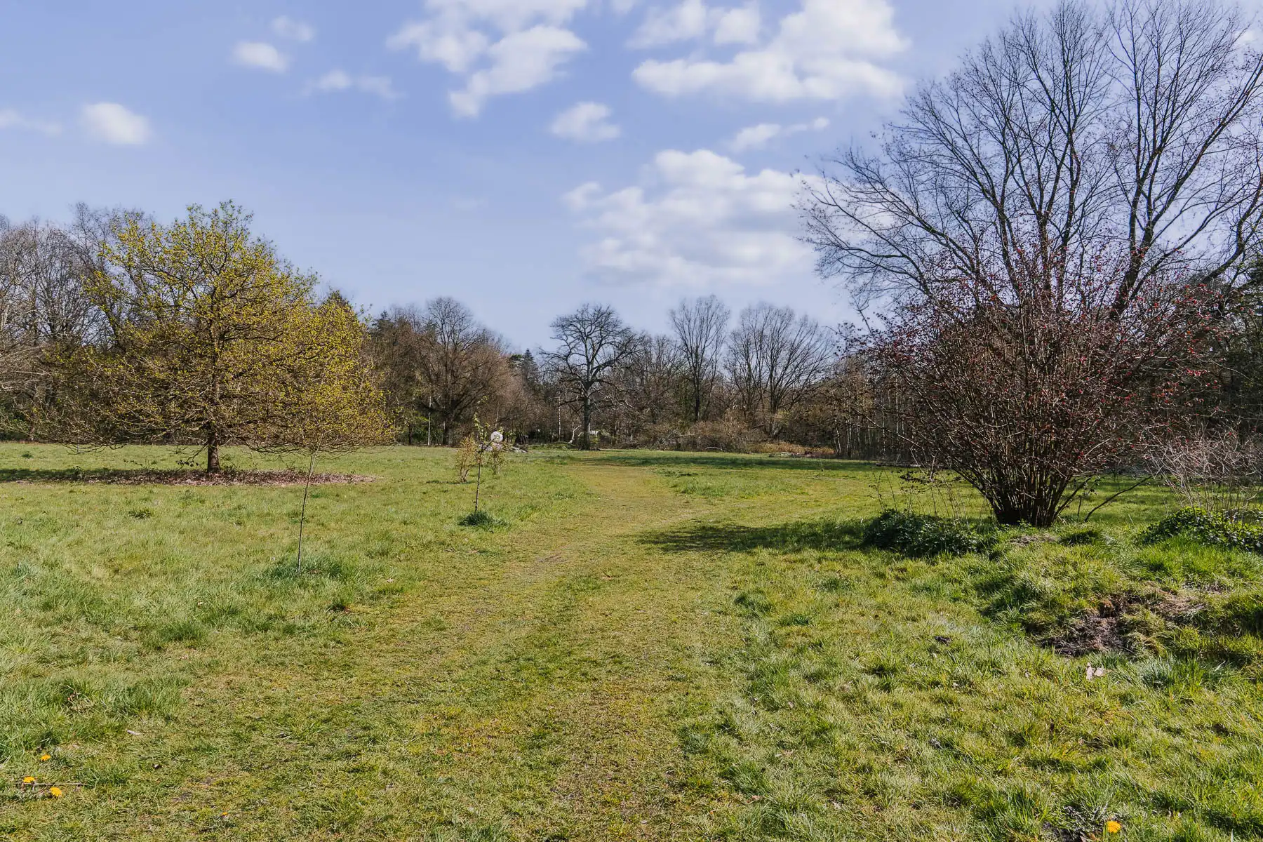 Landelijke woning op een uniek perceel van 20.000 m2 foto 30