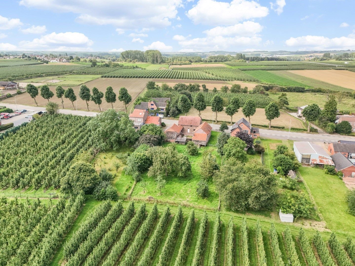 Te renoveren hoeve op een prachtige perceel van 23a 05ca, met weids zicht op de achtergelegen boomgaarden foto 2