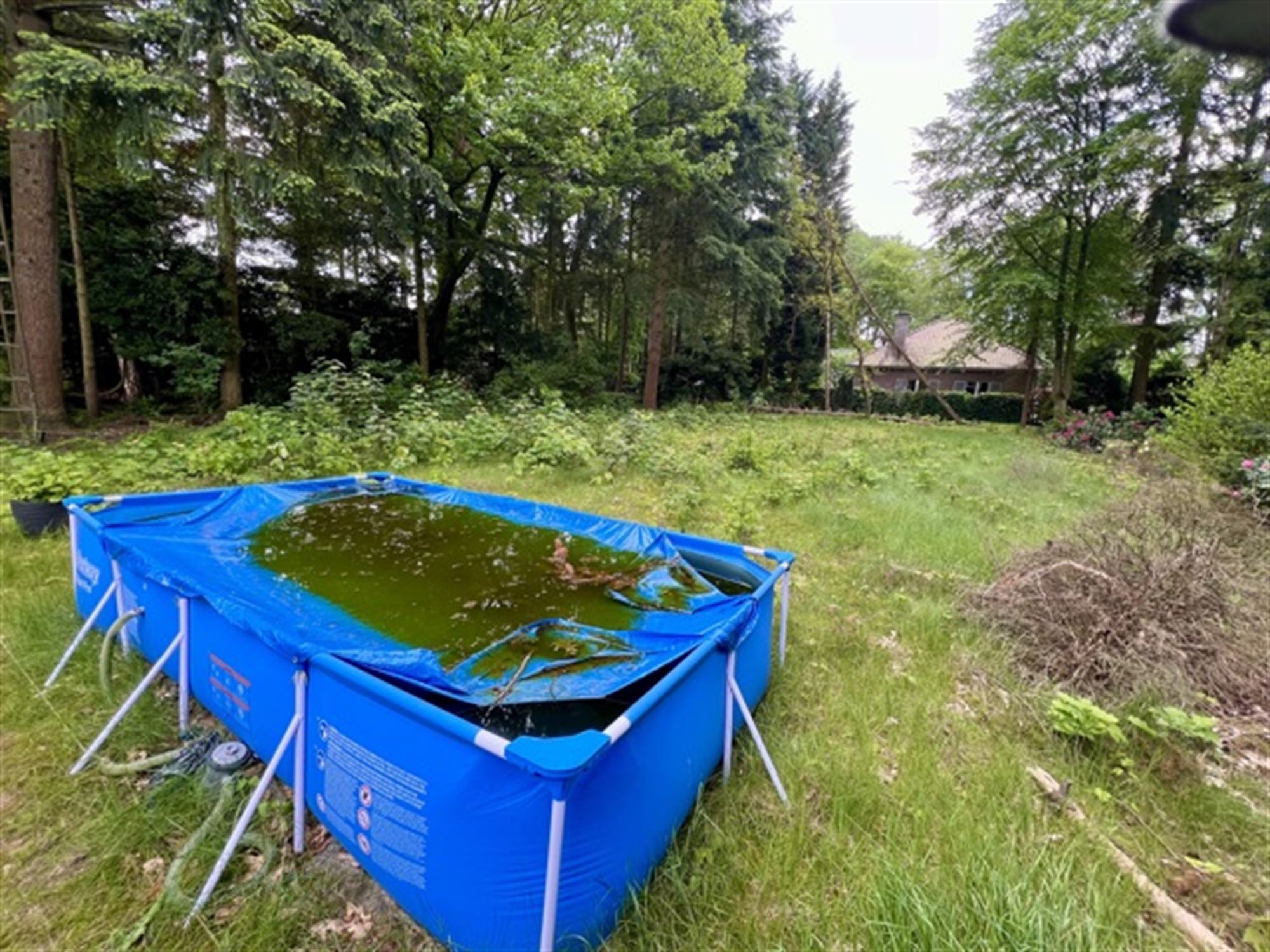 Deels gerenoveerde villa op grote grond foto 39