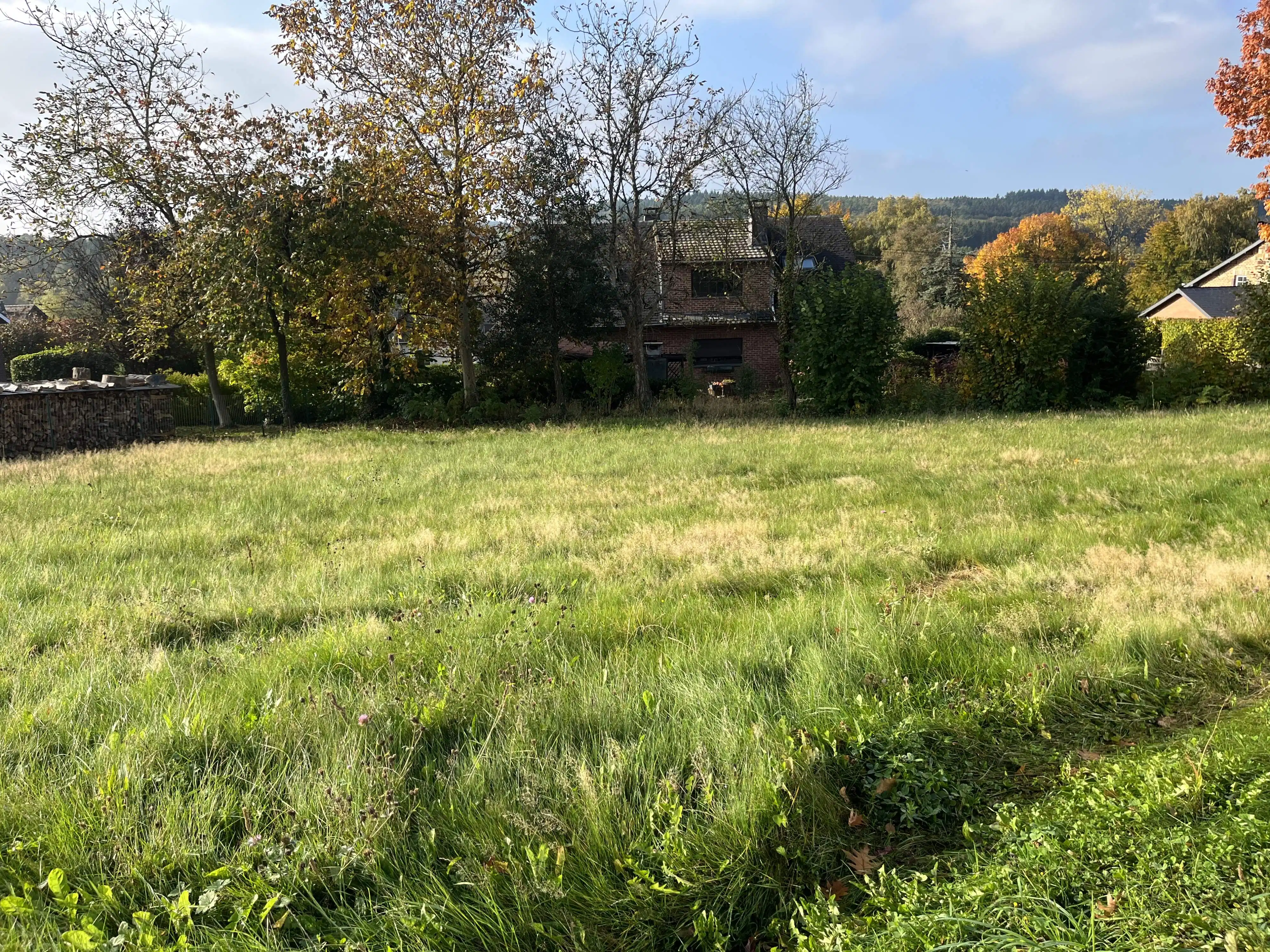 Uniek perceel bouwgrond te koop te Vesqueville foto 8