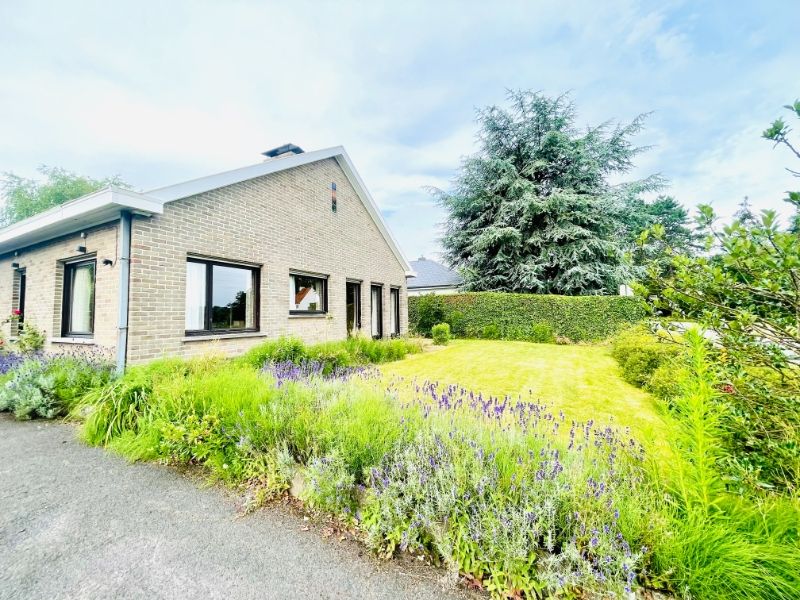 Charmante, te renoveren bungalow in Petegem-aan-de-Leie foto 3