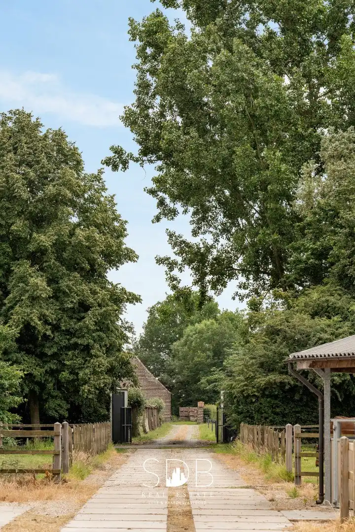 Prachtige villa met hippische accommodatie en graslanden op +/- 9 ha foto 32