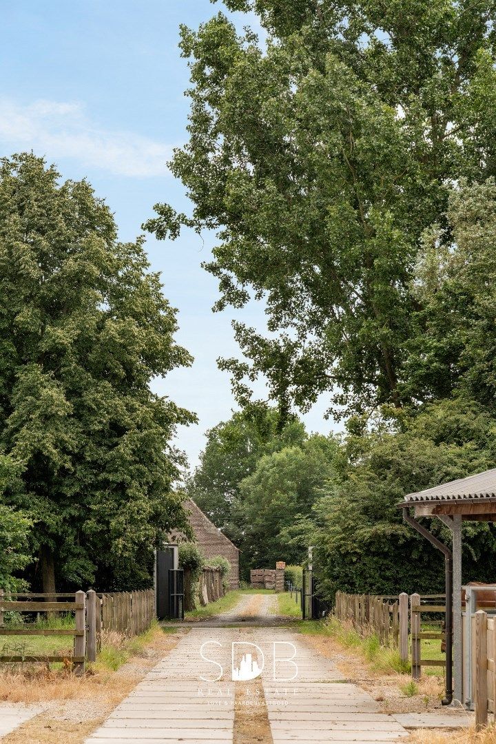 Prachtige villa met hippische accommodatie en graslanden op +/- 5 ha foto 32